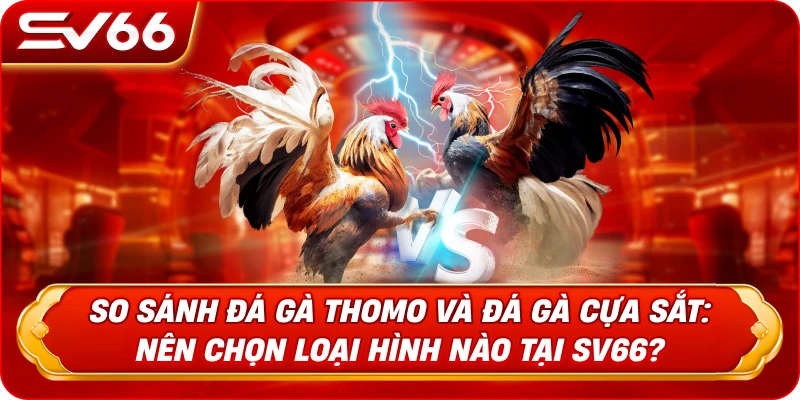 So Sánh Đá Gà Thomo Và Đá Gà Cựa Sắt: Nên Chọn Loại Hình Nào Tại SV66?